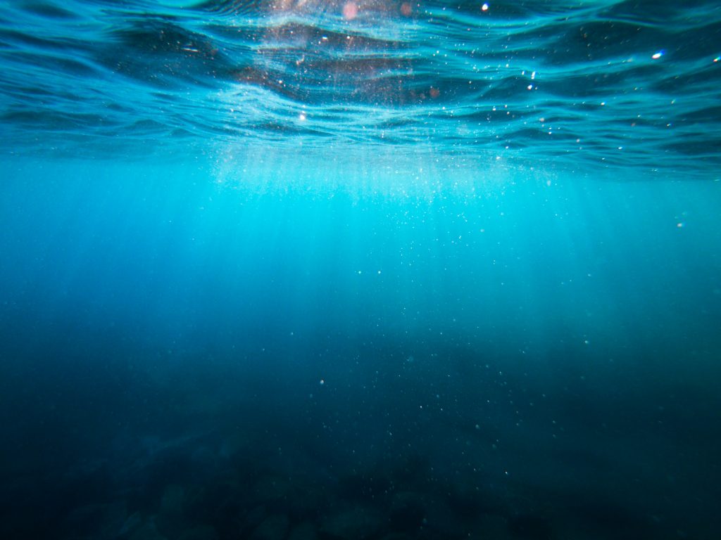 Some hearts beat in rhythm with the waves.