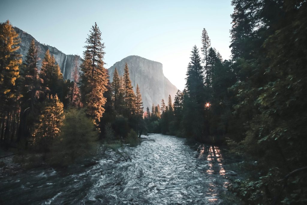 The river speaks in ripples, if you know how to listen.