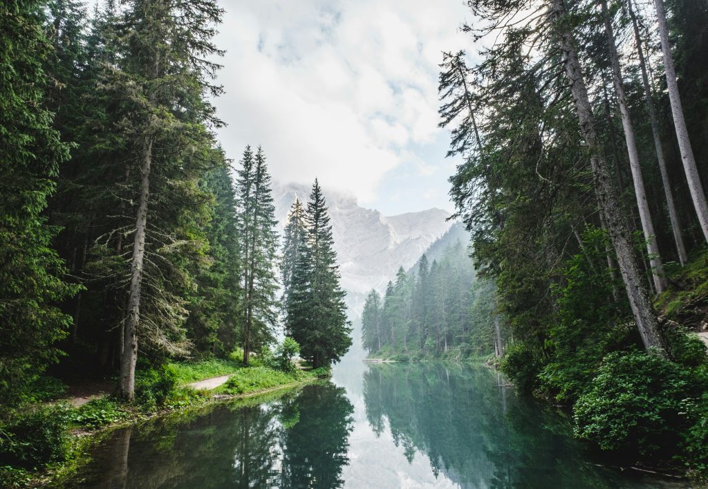 From mountain peaks to ocean depths—it flows with purpose.