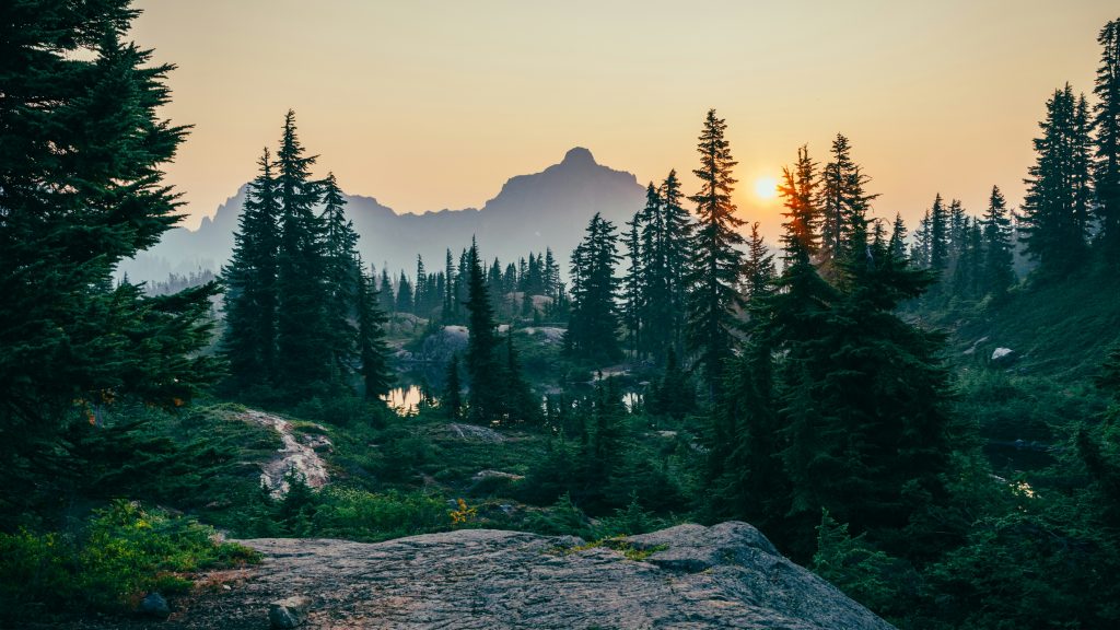 Lose your path. Find your peace.